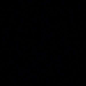 Unknown sold leggings black